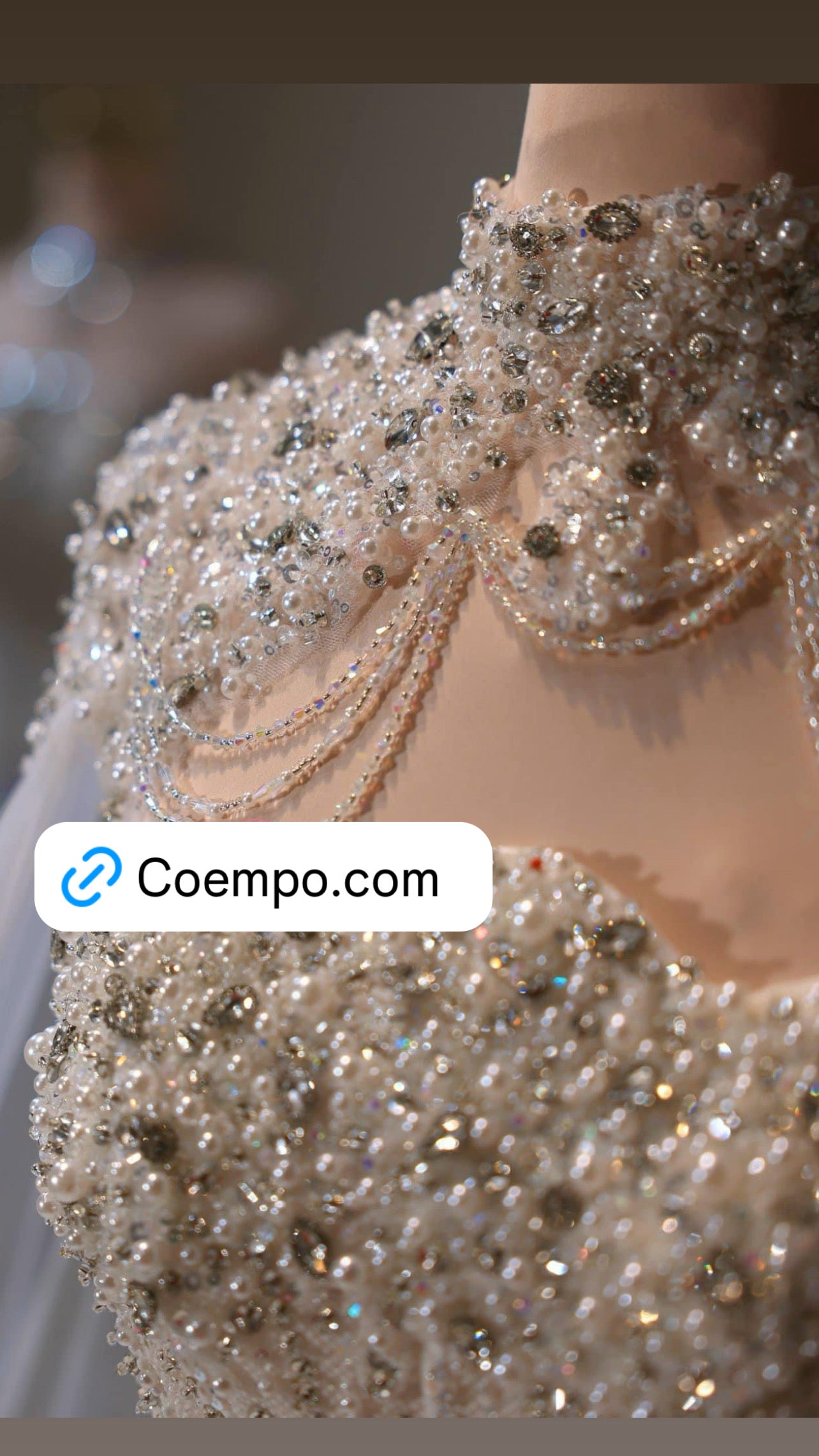 The Cosmopolitan Beaded Elegant Ball gown