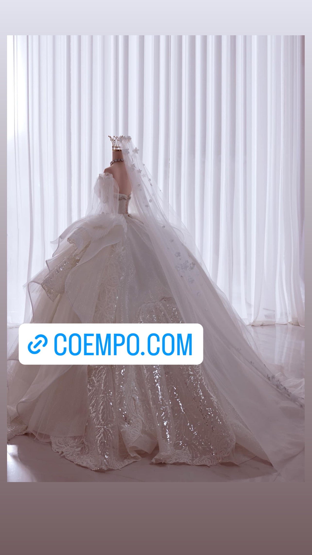 The Cosmopolitan beads & Sequins bridal ball gown