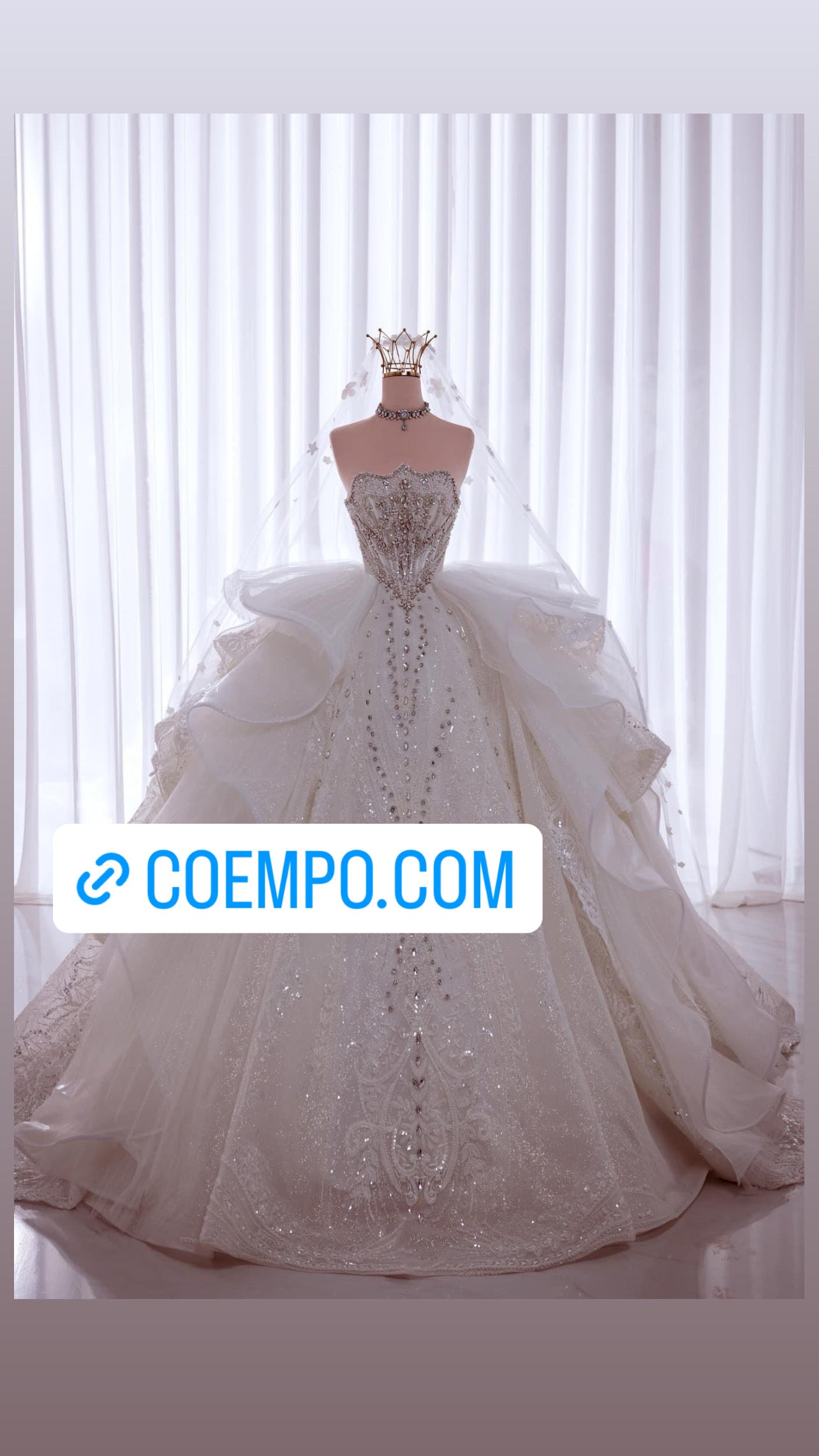 The Cosmopolitan beads & Sequins bridal ball gown