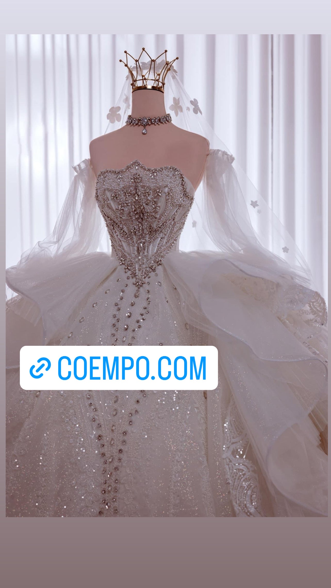 The Cosmopolitan beads & Sequins bridal ball gown