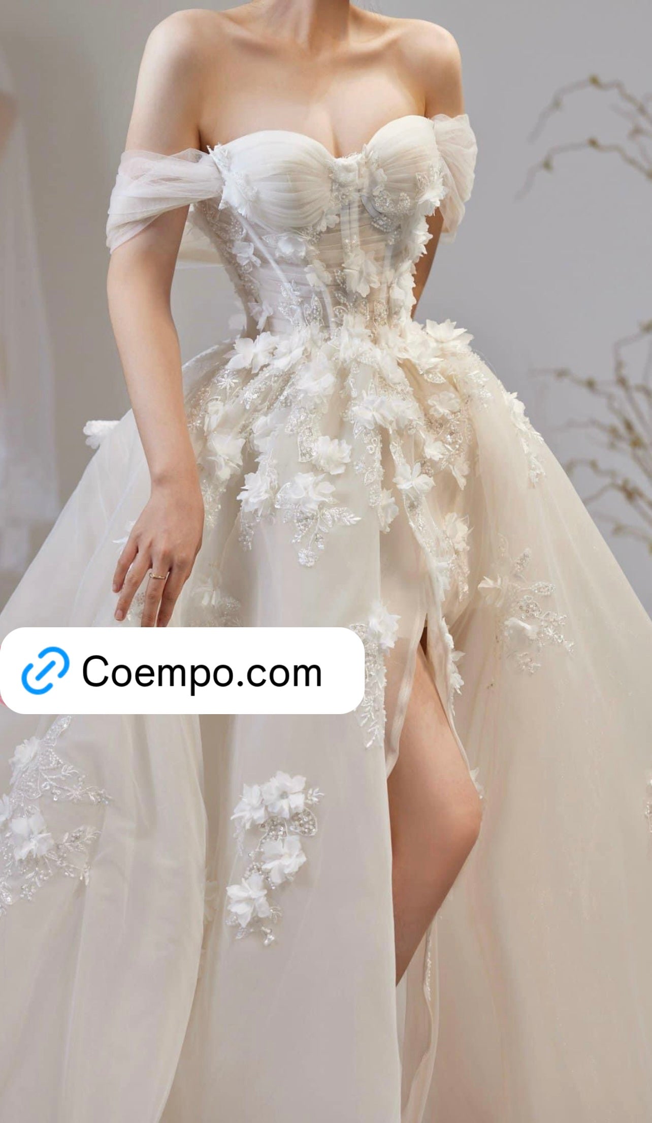 The Cosmopolitan Offshoulder Chiffon Floral Appliqués gown with Slit