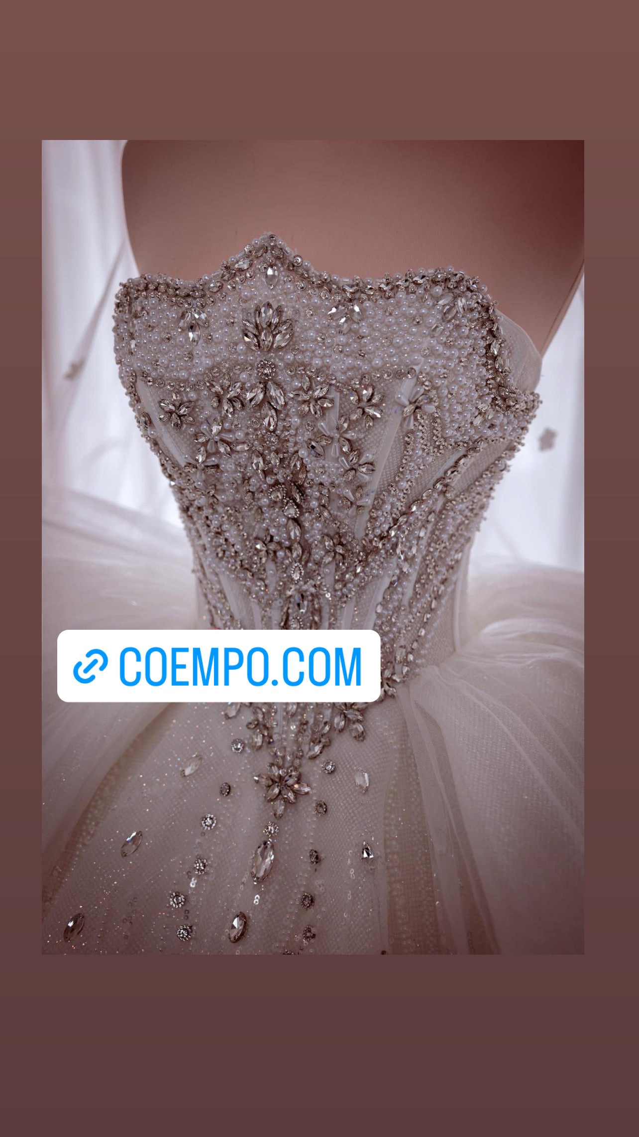 The Cosmopolitan beads & Sequins bridal ball gown