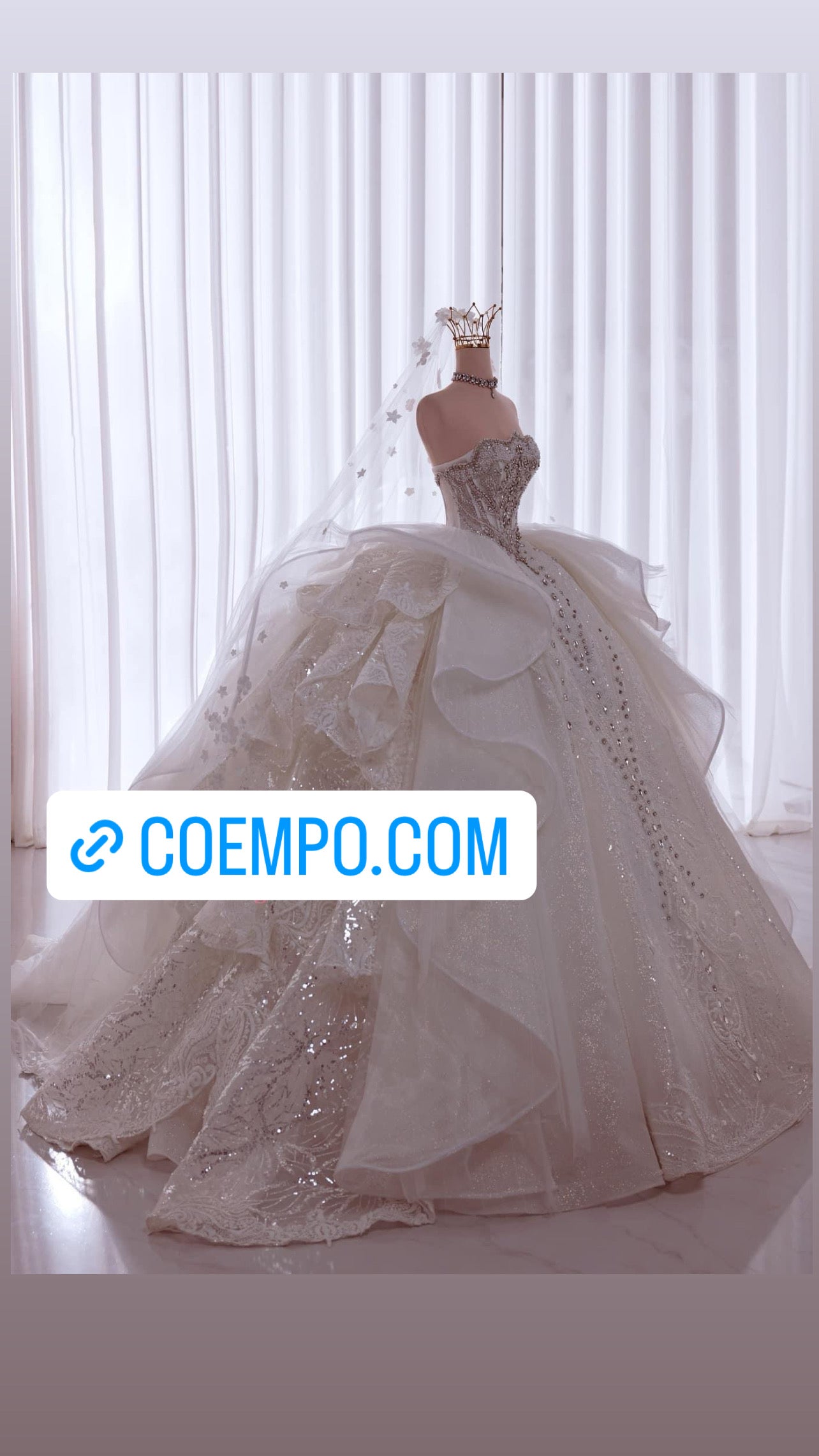 The Cosmopolitan beads & Sequins bridal ball gown